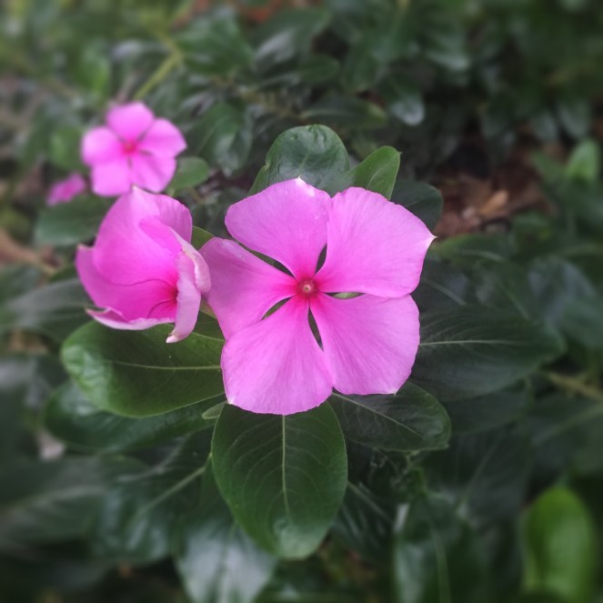 Finding The Beauty In Everyday Life