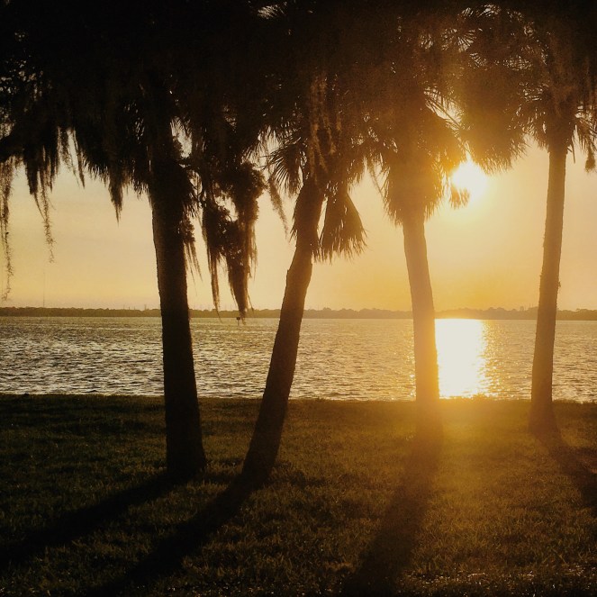 Processed with VSCO with m5 preset