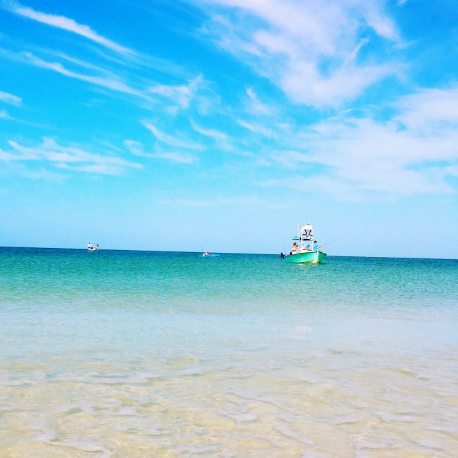 Finding The Beauty In Everyday Life