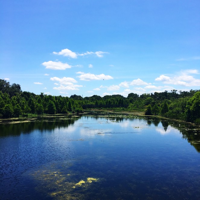 Finding The Beauty In Everyday Life