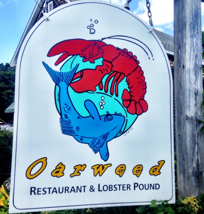 Treasured Family Traditions - Nubble Lighthouse, Maine